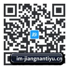 系统版 iOS 二维码